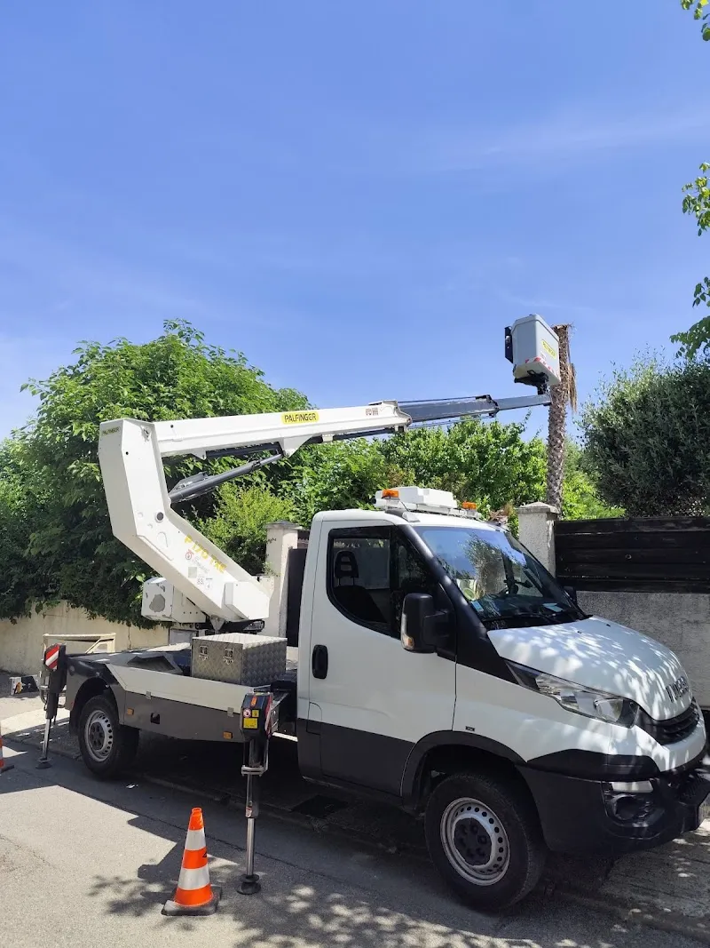 Camion nacelle Gargowitch Élagueur pour l’élagage d’un palmier près de Marsillargues